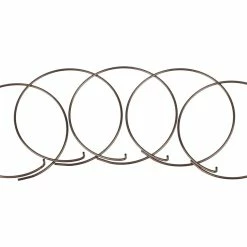 Fulcrum Sperrklinkenfedern 5-RM0-005 Für MTB Freilaufkörper